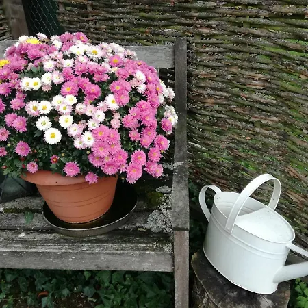 Apartman Schoene, Grosse In Waldenbuch, Nahe Stuttgart Messe, Boeblingen, Sindelfingen Waldenbuch