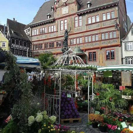 Schoene, Grosse In Waldenbuch, Nahe Stuttgart Messe, Boeblingen, Sindelfingen 아파트