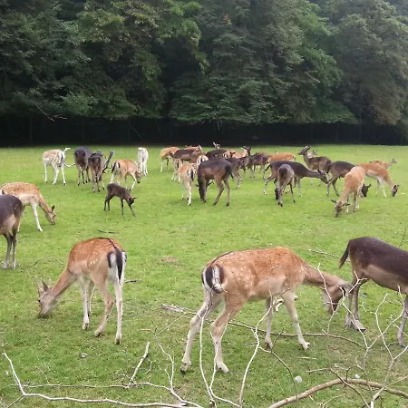 Schoene, Grosse In Waldenbuch, Nahe Stuttgart Messe, Boeblingen, Sindelfingen Waldenbuch