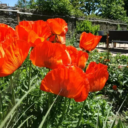 Apartman Schoene, Grosse In Waldenbuch, Nahe Stuttgart Messe, Boeblingen, Sindelfingen *